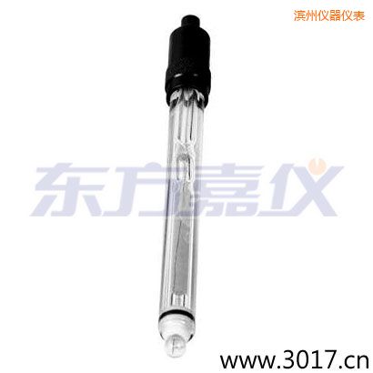 濱州玻璃外殼純水電極