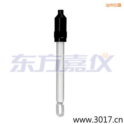 滄州無(wú)溫補(bǔ)兩線電導(dǎo)率電極