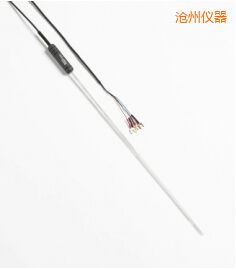 滄州高精度石英套管標準鉑電阻溫度計