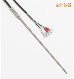 滄州快速響應(yīng)鉑電阻溫度計
