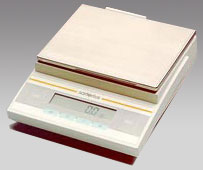 菏澤電子天平,3100g,0.1g