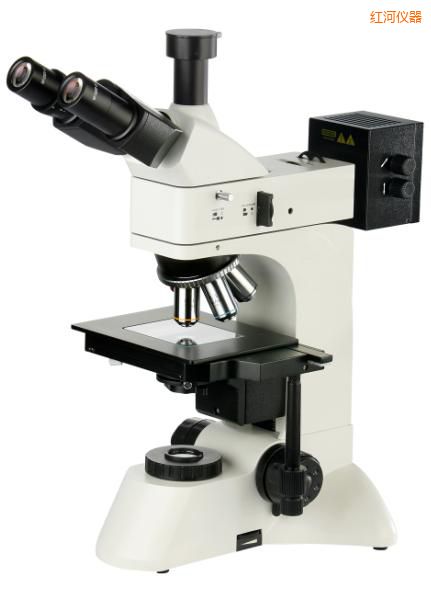 �t��͸��������@΢�R