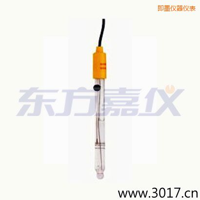 即墨可填充玻璃管電極