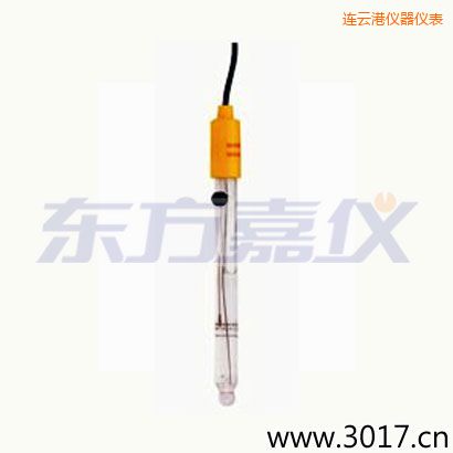 連云港可填充玻璃管電極