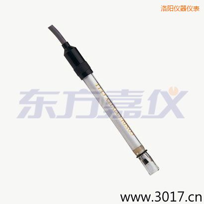 洛陽含有溫度的兩線電導(dǎo)率電極