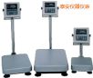 防水臺稱,60kg,5g