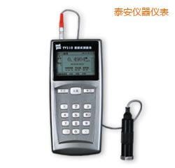 泰安時(shí)代測(cè)振儀表