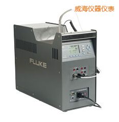 �������͜�Ӌ���t