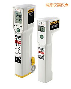 咸陽食品安全測溫儀