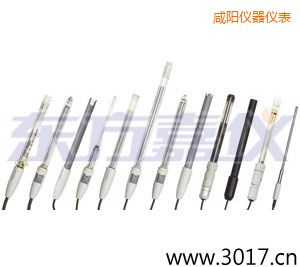 咸陽(yáng)離子選擇性電極