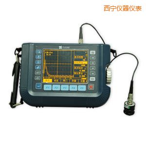 ��������̽���x