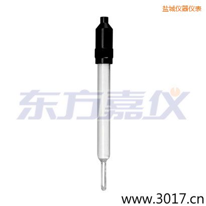 鹽城玻璃外殼無溫補(bǔ)兩線電導(dǎo)率電極