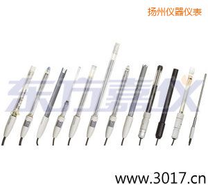 揚州離子選擇性電極