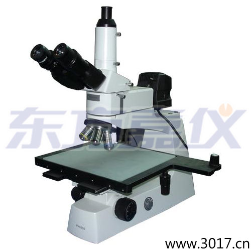 ���ý����@΢�R